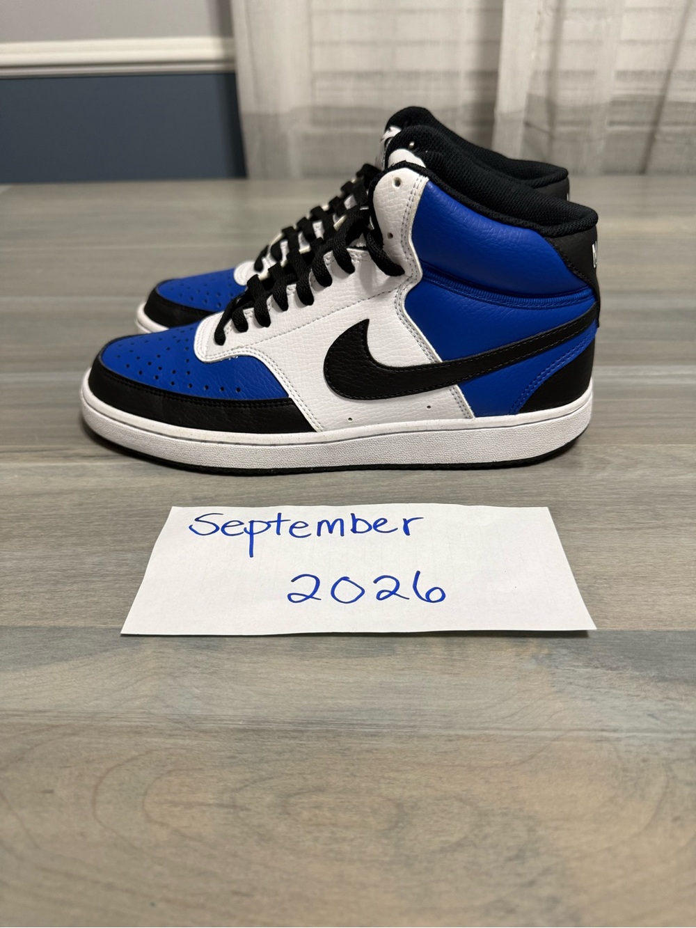 Mens Nike court visions